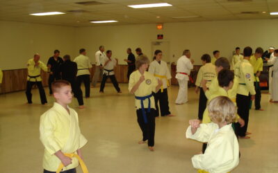 Blade and Sparring in VA